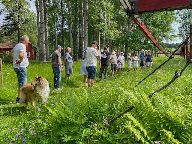 Ingen fotobeskrivning tillgänglig.