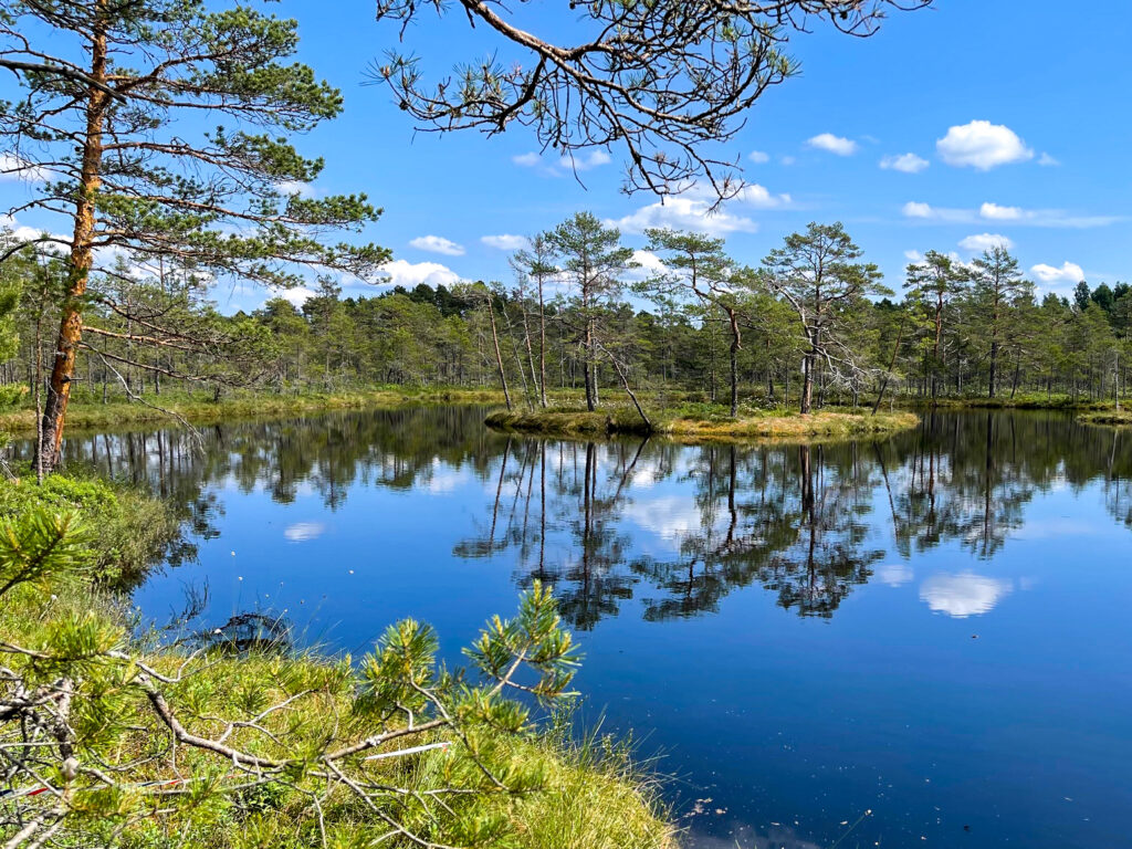 Ingen fotobeskrivning tillgänglig.